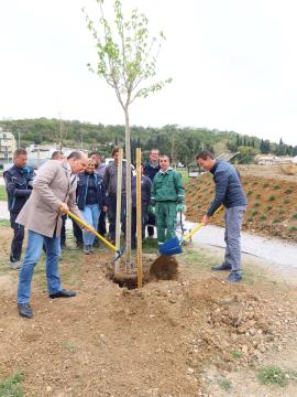 Foto Občina Piran (2)